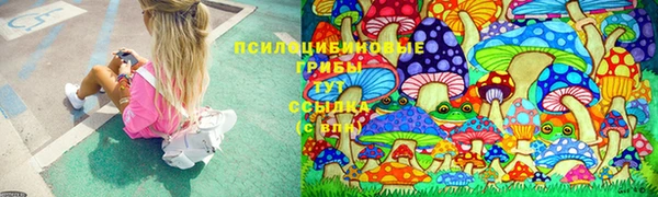 спайс Аркадак