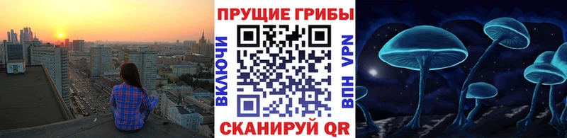 Псилоцибиновые грибы ЛСД  Покров 